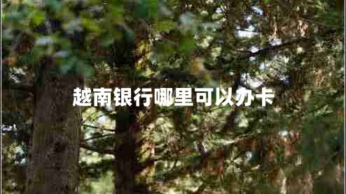 越南銀行哪里可以辦卡