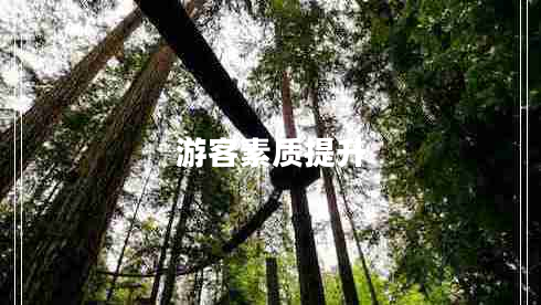 游客素質(zhì)提升