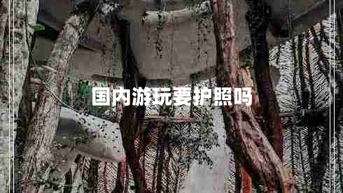 國(guó)內(nèi)游玩要護(hù)照嗎