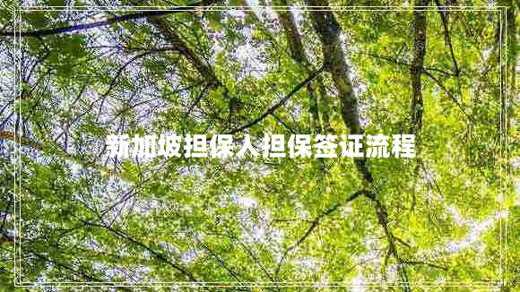 新加坡?lián)Ｈ藫：炞C流程