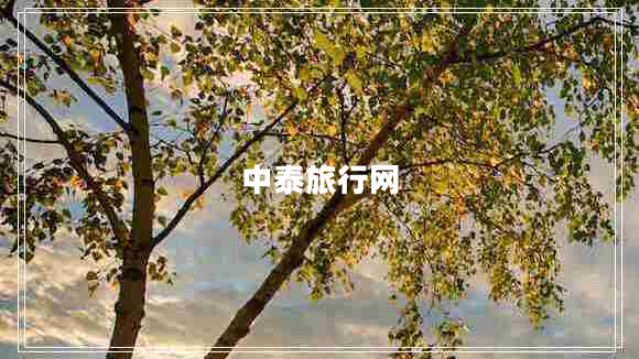 中泰旅行網(wǎng)