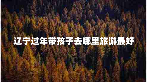 遼寧過年帶孩子去哪里旅游最好