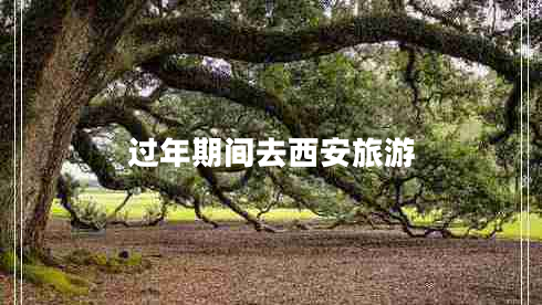過(guò)年期間去西安旅游
