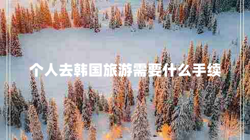 個(gè)人去韓國旅游需要什么手續