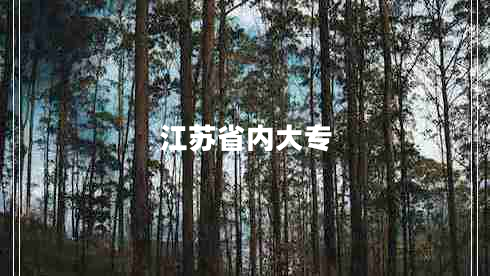 江蘇省內大專(zhuān)