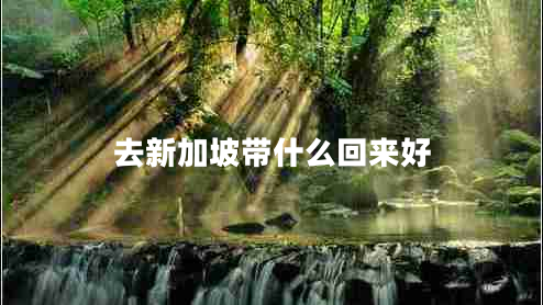 去新加坡帶什么回來好