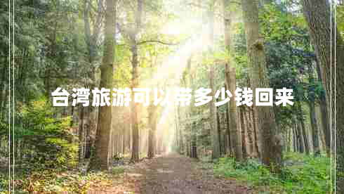 臺灣旅游可以帶多少錢回來