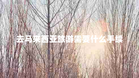 去馬來西亞旅游需要什么手續(xù)