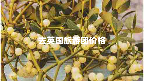去英國旅游團價(jià)格