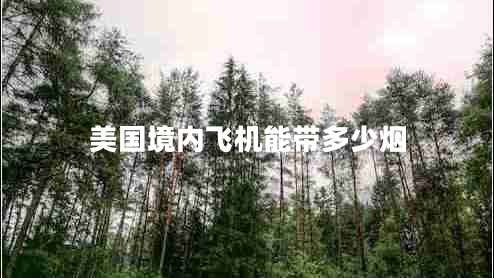 美國(guó)境內(nèi)飛機(jī)能帶多少煙