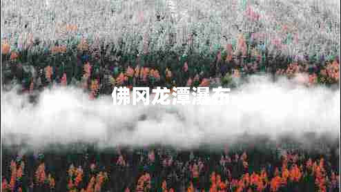 佛岡龍?zhí)镀俨? title=