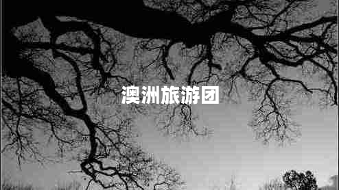 澳洲旅游團