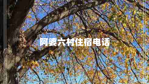 阿婆六村住宿電話