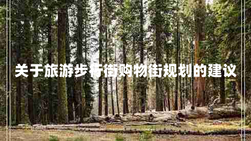 關于旅游步行街購物街規(guī)劃的建議