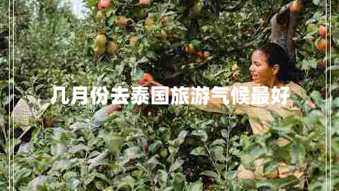 幾月份去泰國旅游氣候最好