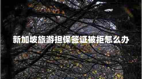 新加坡旅游擔(dān)保簽證被拒怎么辦