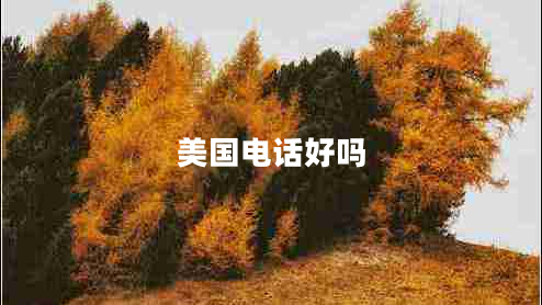 美國電話好嗎
