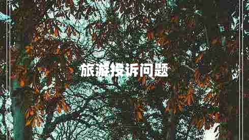 旅游投訴問題