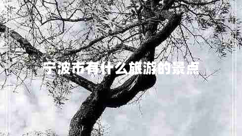 寧波市有什么旅游的景點