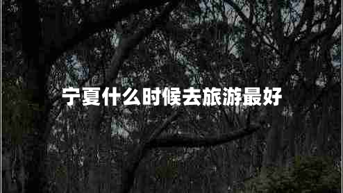 寧夏什么時(shí)候去旅游最好