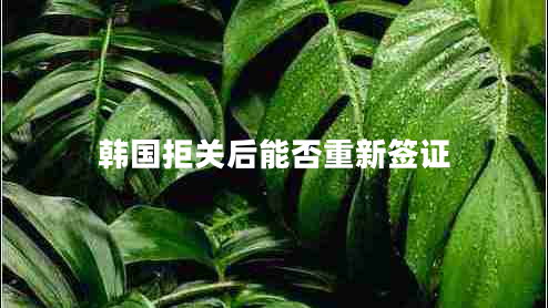 韓國拒關(guān)后能否重新簽證
