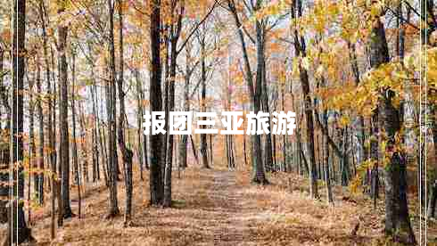 報團(tuán)三亞旅游