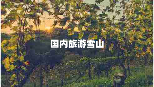 國內(nèi)旅游雪山