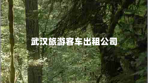 武漢旅游客車(chē)出租公司