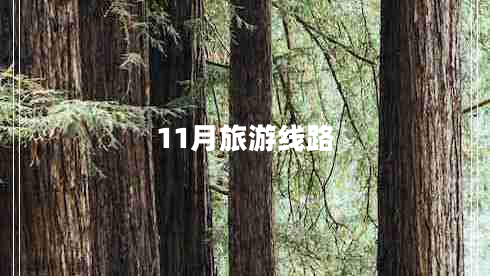 11月旅游線(xiàn)路