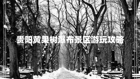 貴陽(yáng)黃果樹(shù)瀑布景區游玩攻略