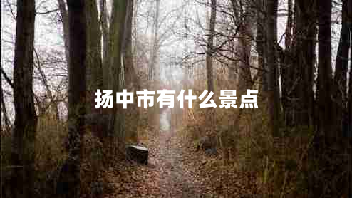 揚中市有什么景點