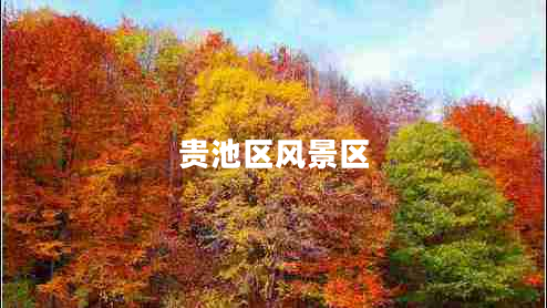 貴池區(qū)風(fēng)景區(qū)