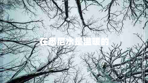 在悉尼水是溫暖的