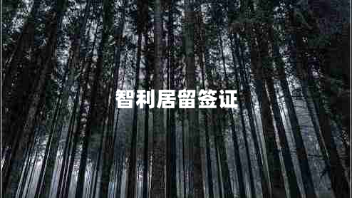 智利居留簽證
