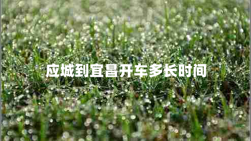 應(yīng)城到宜昌開車多長(zhǎng)時(shí)間