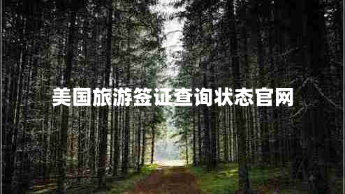美國(guó)旅游簽證查詢狀態(tài)官網(wǎng)