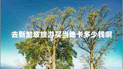 去新加坡旅游買(mǎi)當地卡多少錢(qián)啊