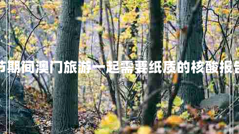 春節(jié)期間澳門旅游一起需要紙質(zhì)的核酸報告嗎