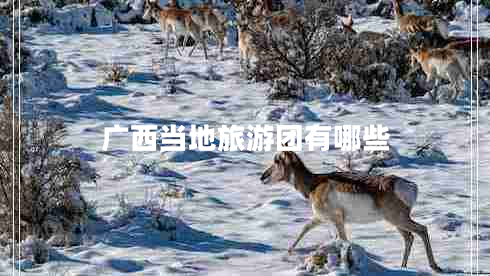 廣西當?shù)芈糜螆F有哪些