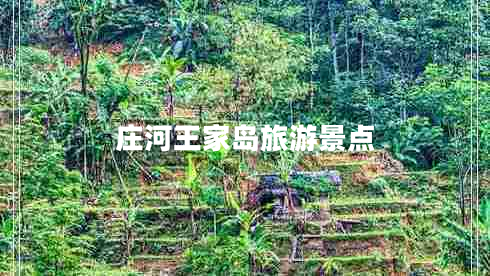 莊河王家島旅游景點