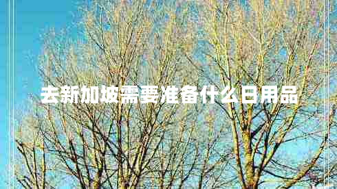 去新加坡需要準(zhǔn)備什么日用品