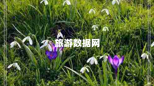 旅游數據網(wǎng)