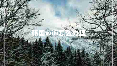 韓國(guó)wifi怎么辦理