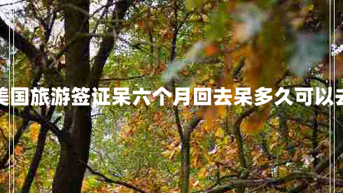 美國旅游簽證呆六個月回去呆多久可以去