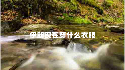 伊朗現在穿什么衣服
