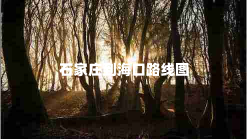 石家莊到海口路線圖