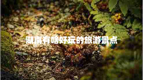 湖南有啥好玩的旅游景點