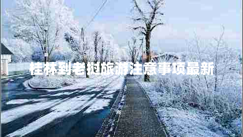 桂林到老撾旅游注意事項最新