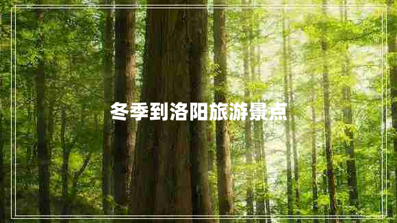 冬季到洛陽(yáng)旅游景點(diǎn)