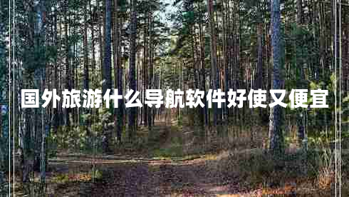 國(guó)外旅游什么導(dǎo)航軟件好使又便宜